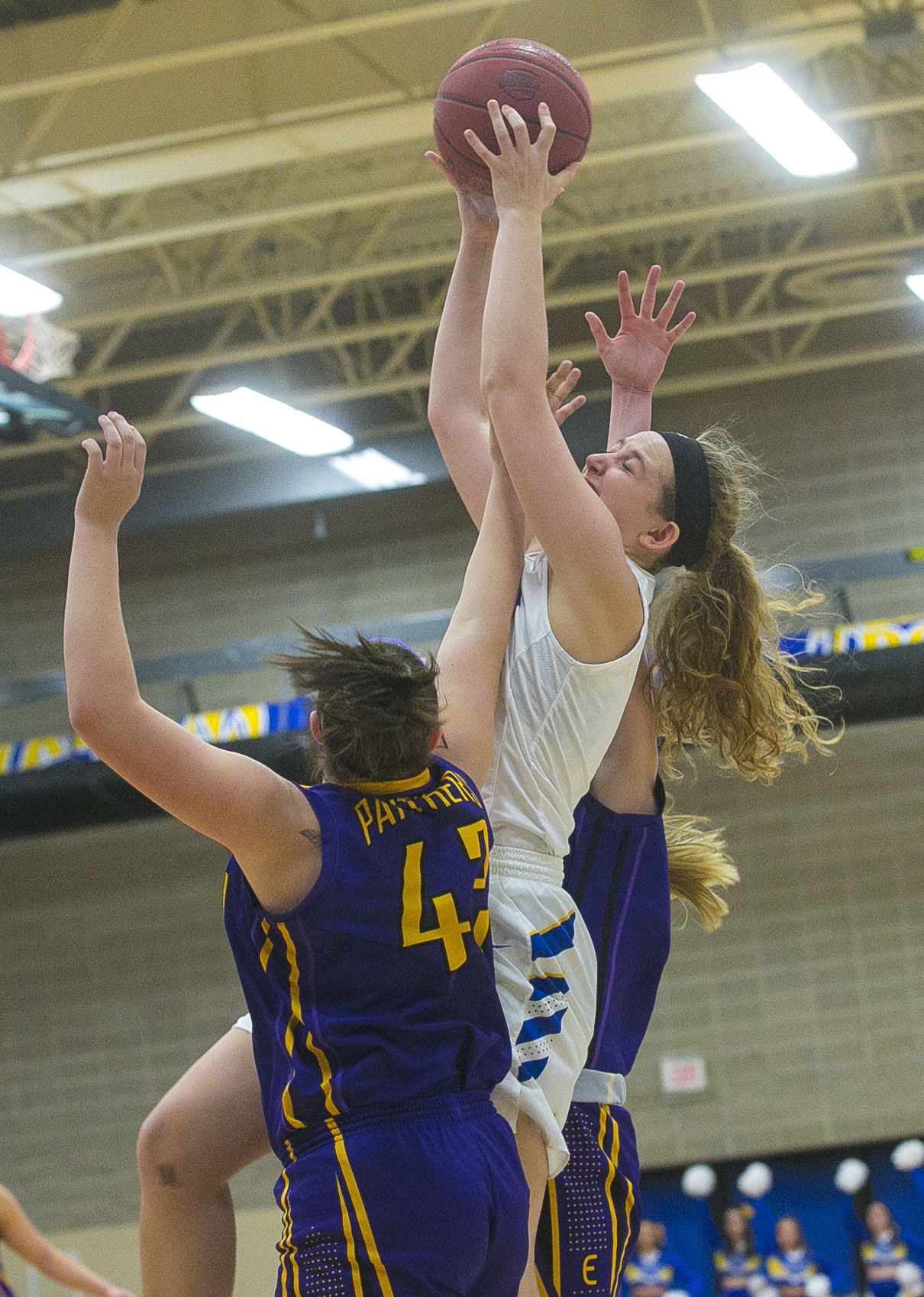 WBBall NIACC vs. Ellsworth 10